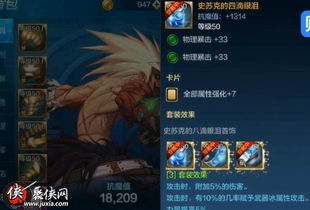 DNF宠物怎么选升级类型？平民速升/氪金进阶路线+热门需求全匹配