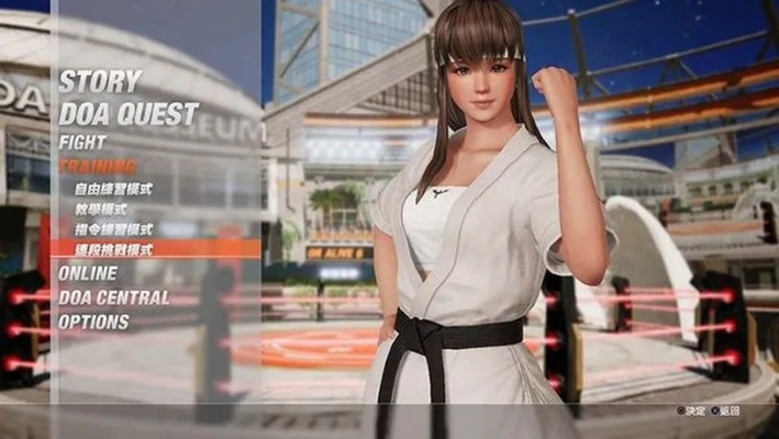 2026年PC端死或生全类型解析，格斗/休闲玩法+热门需求（MOD/对战）解决攻略