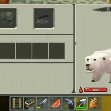 白色北极熊坐骑怎么选？稀有类型、获取攻略及收藏价值全解析