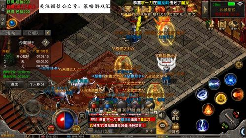 神界2龙骑士传奇，从新手到龙主 开荒避坑+龙形态进阶全解析