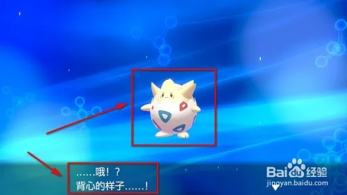 波克比怎么进化？亲密度速刷、光之石获取及对战适配全攻略