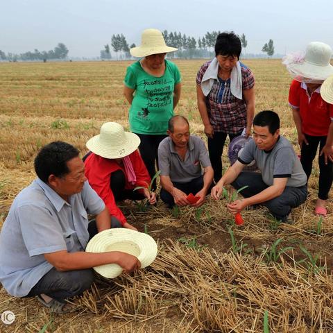 云游戏类型怎么选？2026年热门需求匹配+实战玩法定制指南