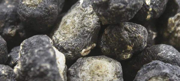 玛卡是药还是滋补品？从品类细分到热门需求，抗疲劳/调内分泌全指南