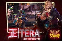 2026新版Tera艾琳捏脸数据全解析，冷门风格一键导入+热门需求适配攻略