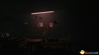 Inside全结局深度拆解，隐藏结局触发攻略+暗黑隐喻真相揭秘