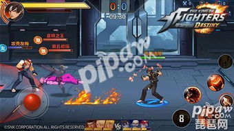 击拳庆祝守卫深度解析，获取渠道/隐藏彩蛋/实战价值，2026年玩家必看