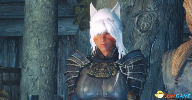 上古卷轴5随从全类型解析，哪款才匹配你当前玩法的刚需？