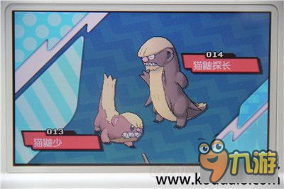 口袋妖怪日月图鉴分哪些类型？热门收集培养需求全解析