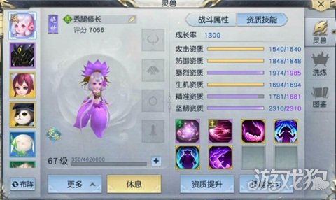 2026最新，龙女带什么灵兽？热门场景适配搭配全解析