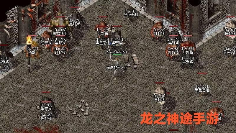 2026传奇神龙地图怎么玩？打宝搬砖路线+BOSS产出全解析