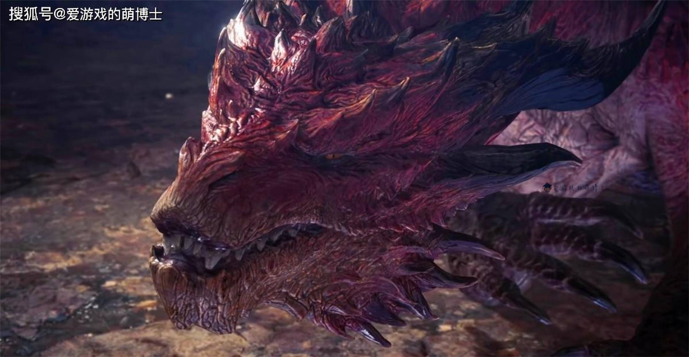 赤髯龙类型弱点全解析 怪物猎人新手开荒打赤髯龙怎么不猫车？